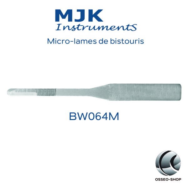 Boîte de 10 micro-lames MJK