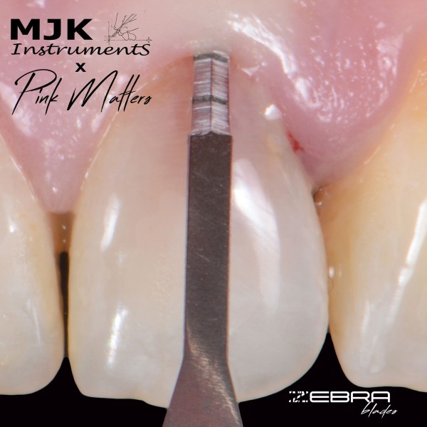 Boîte de 10 micro-lames MJK