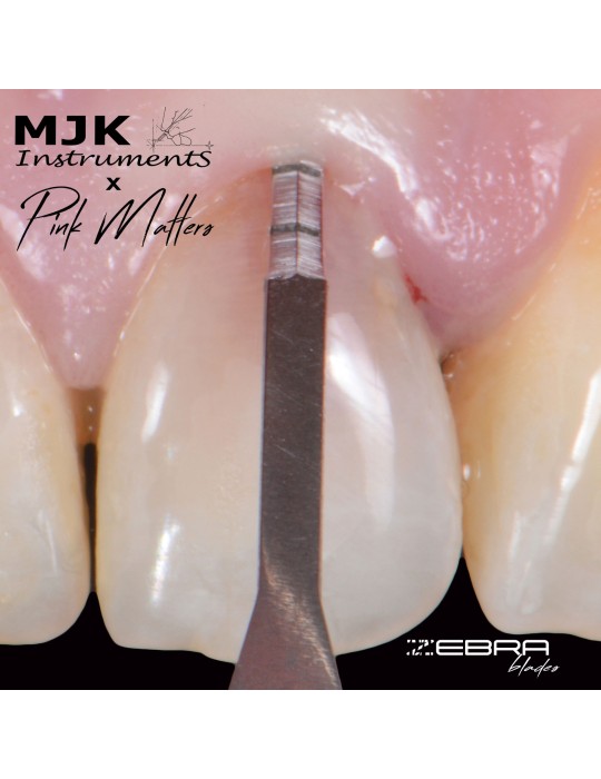 Boîte de 10 micro-lames MJK