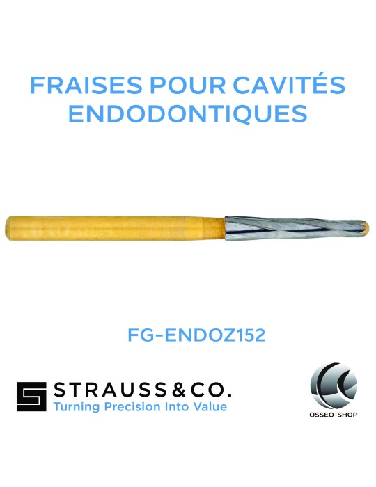 Fraises pour cavité endodontique