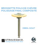 Brossette poils de chèvre -  Polissage final composite