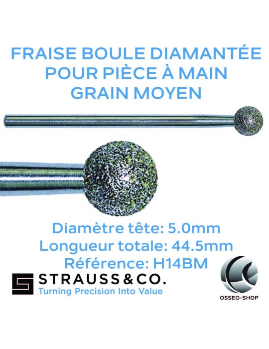 Fraises boules diamantées pour pièce à main