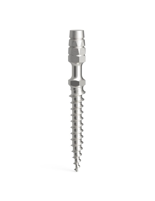 Implant provisoire L14mm D2.1 - Lasak ProImplant