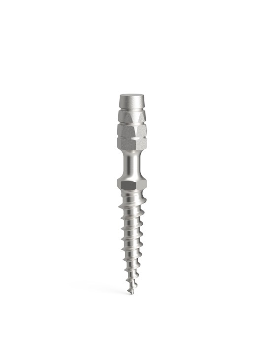 Implant Provisoire L10mm D2.1 - Lasak ProImplant