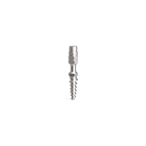 Implant Provisoire L 7mm D2.1 - Lasak ProImplant