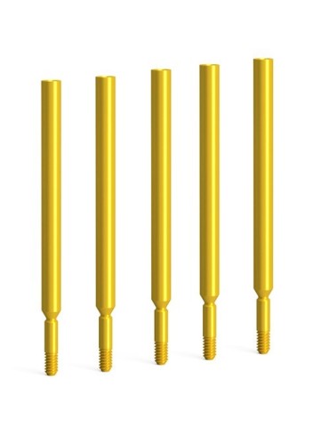 Vis allongée pour phase de laboratoire QN (5 pièces)