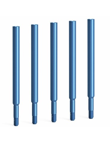 Vis allongée pour phase de laboratoire QR (5 pièces)