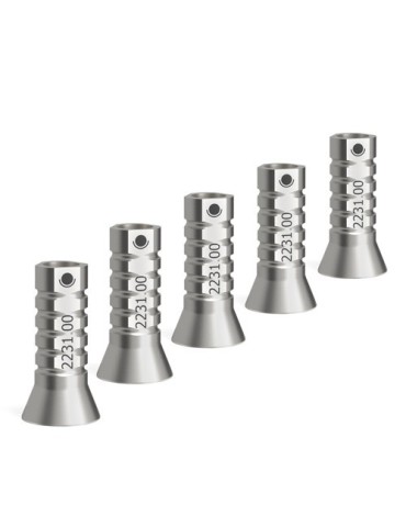 Piliers titane provisoires pour piliers coniques d4.6 (5 pièces, sans les vis)