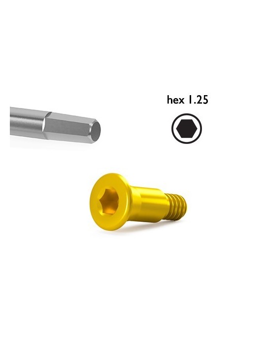 Vis de couverture pour implant S2.9