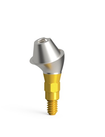 Pilier conique angulé QN/d4.6/20°