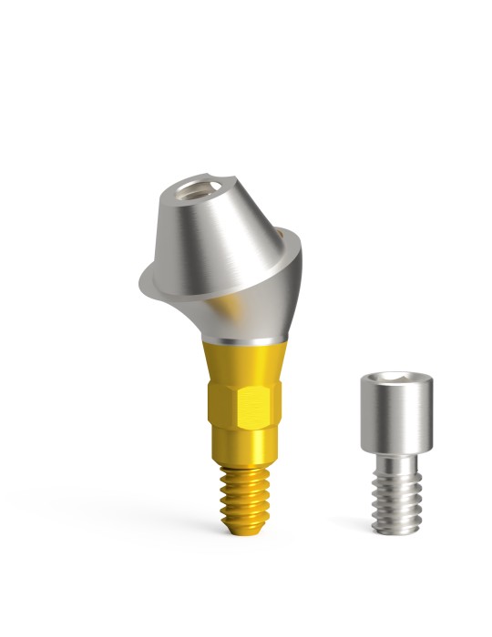 Pilier conique angulé QN/d4.6/20°