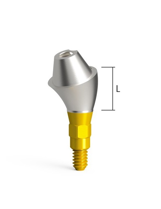 Pilier conique angulé QN/d4.6/20°