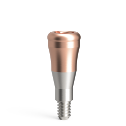 copy of STANDARD abutments...