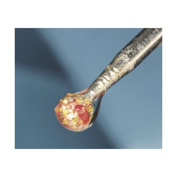 Kit de dégranulation - 4 fraises