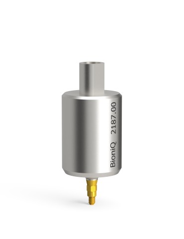 Piliers pré-usinés pour LASAK BioniQ, QN, NT – Ti