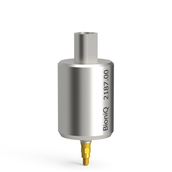 Piliers pré-usinés pour LASAK BioniQ, QN, NT – Ti