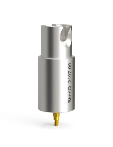 Piliers pré-usinés pour LASAK BioniQ, QN, AG – Ti