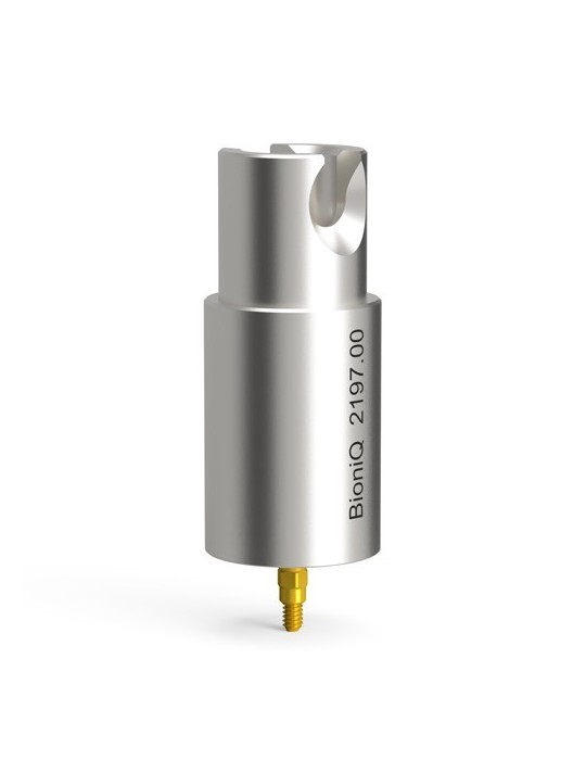 Piliers pré-usinés pour LASAK BioniQ, QN, AG – Ti