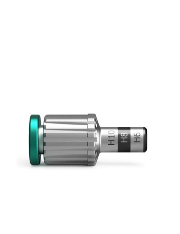 Clé d'insertion BioniQ – hexagonale 2,5/L17,5 (GS)