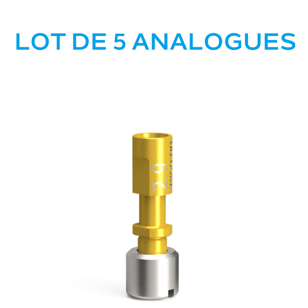 Lot de 5 Analogues d'implant QN pour modèle imprimé