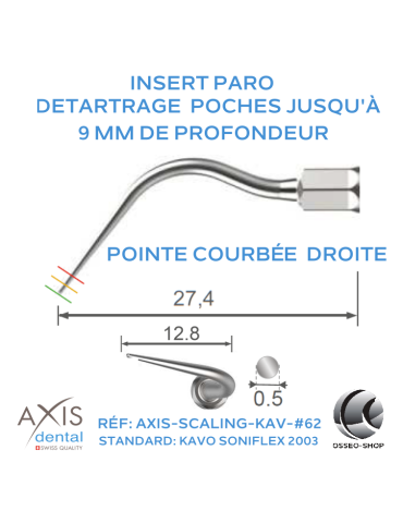 Insert paro - Pointe longue courbée à droite- nettoyage des poches