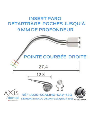Insert paro - Pointe longue courbée à droite - nettoyage des poches
