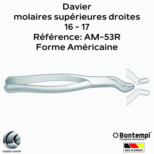 Daviers - Molaires supérieures droites - Bontempi