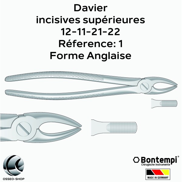Daviers - Incisives supérieures - Bontempi