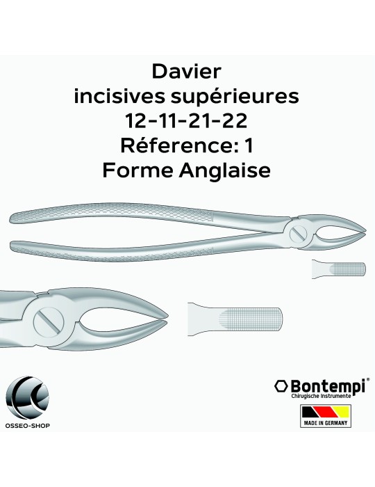 Daviers - Incisives supérieures - Bontempi