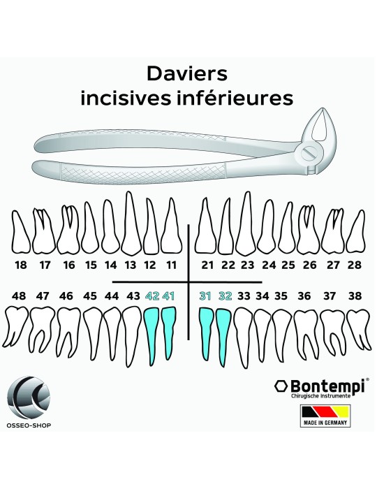 Daviers - Incisives inférieures - Bontempi