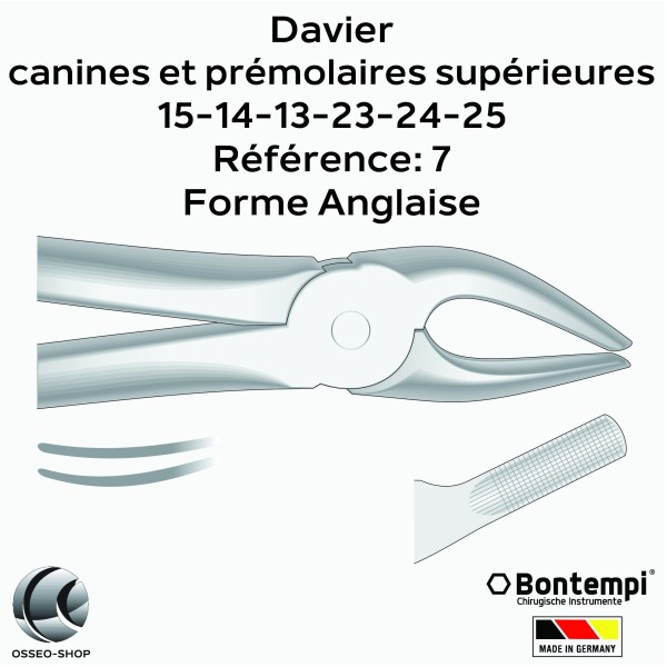 Daviers - Canines et prémolaires supérieures - Bontempi