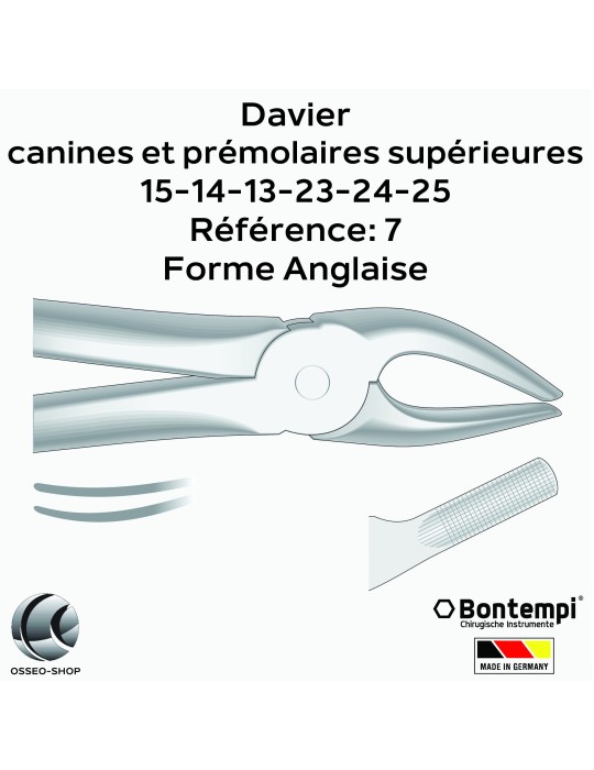 Daviers - Canines et prémolaires supérieures - Bontempi