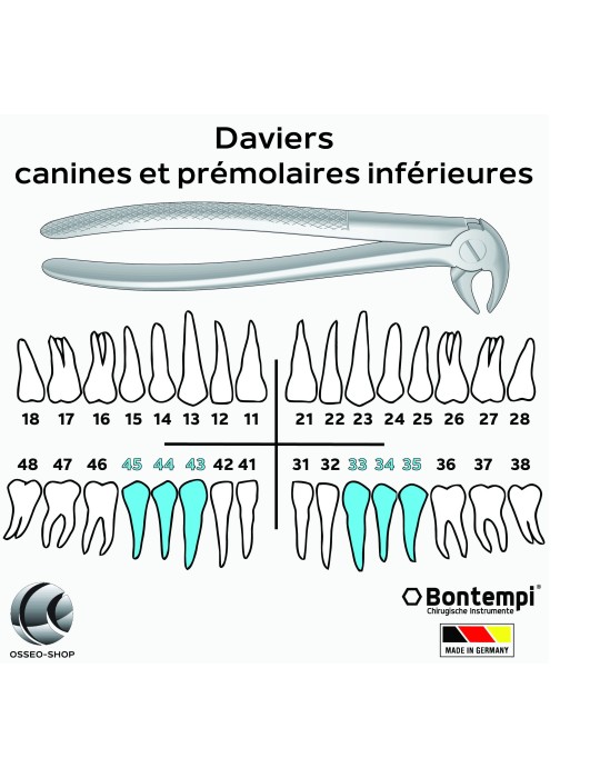Daviers - Canines et prémolaires inférieures - Bontempi