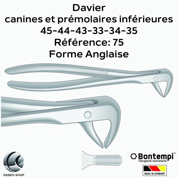 Daviers - Canines et prémolaires inférieures - Bontempi
