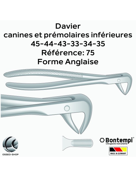 Daviers - Canines et prémolaires inférieures - Bontempi