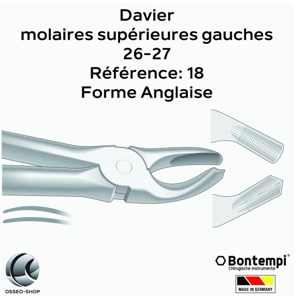 Daviers - Molaires supérieures gauches - Bontempi