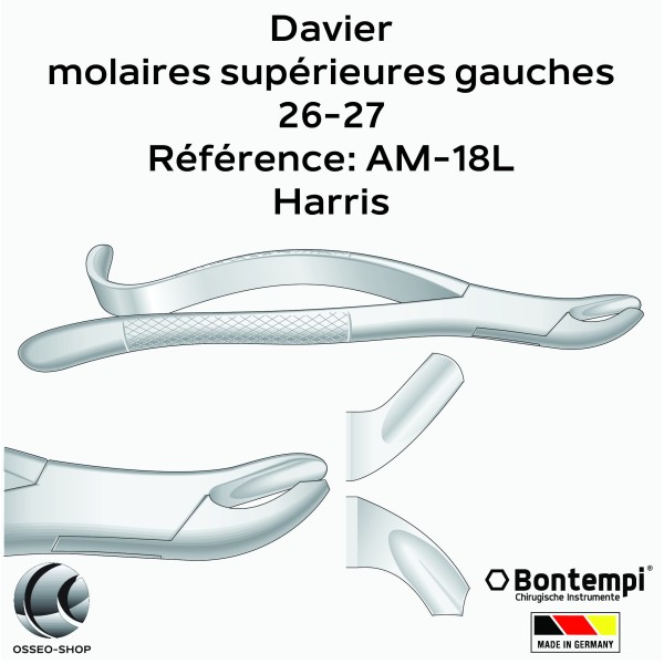 Daviers - Molaires supérieures gauches - Bontempi