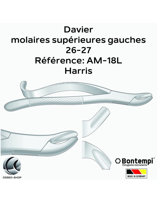 Daviers - Molaires supérieures gauches - Bontempi