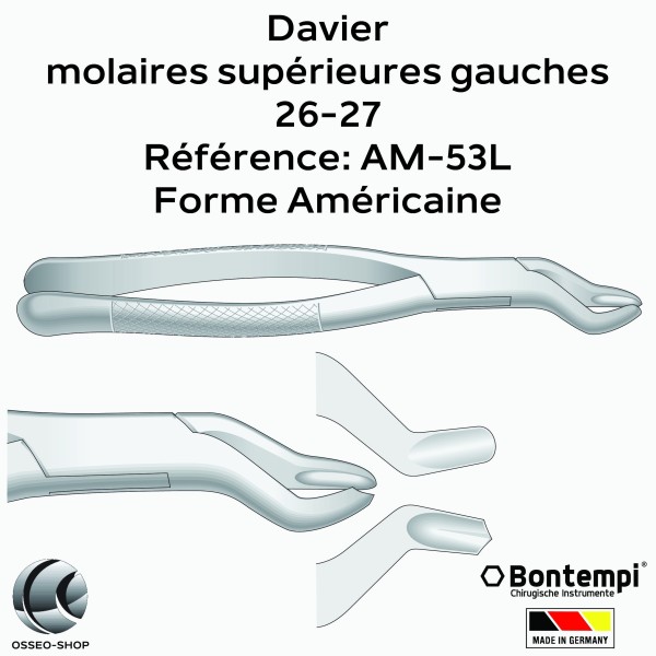 Daviers - Molaires supérieures gauches - Bontempi