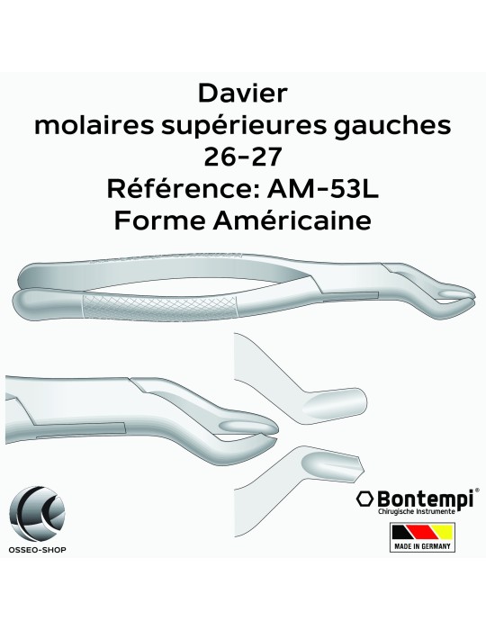 Daviers - Molaires supérieures gauches - Bontempi