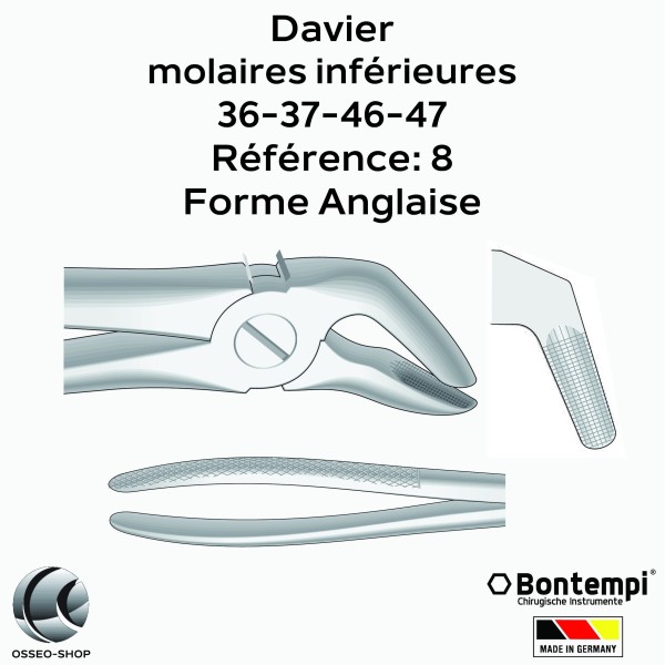 Daviers - Molaires inférieures - Bontempi