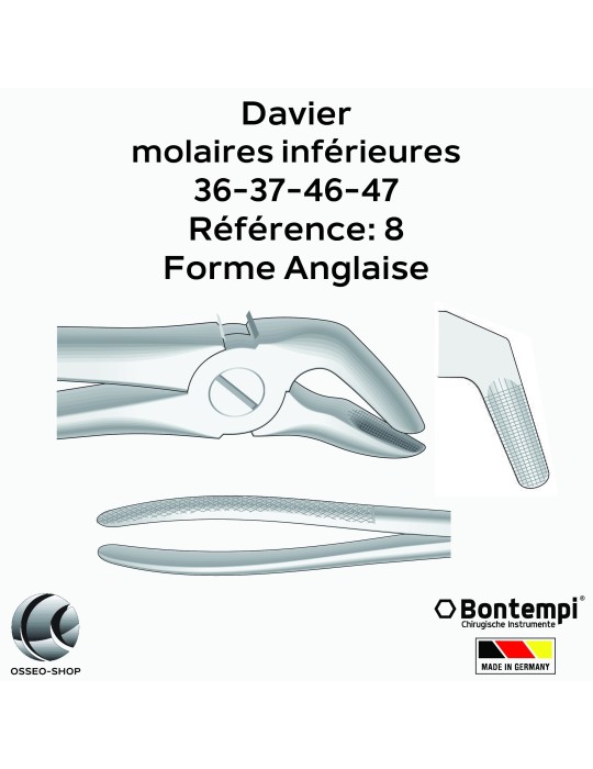 Daviers - Molaires inférieures - Bontempi