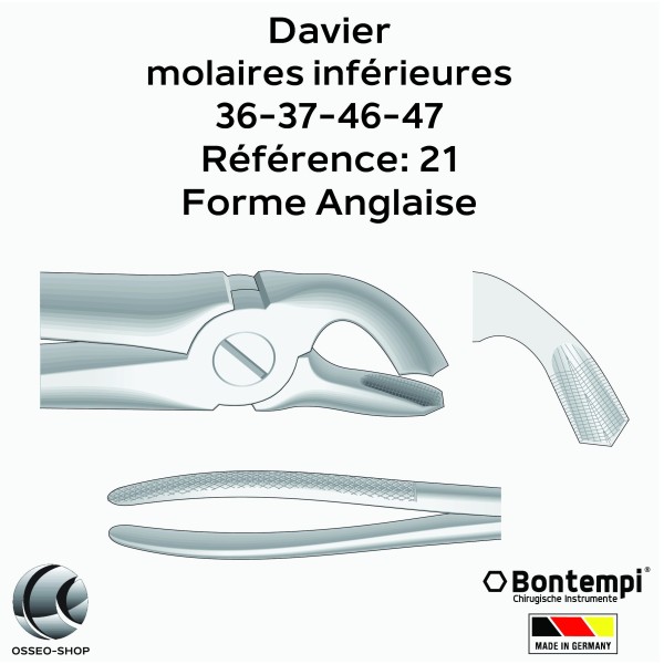 Daviers - Molaires inférieures - Bontempi