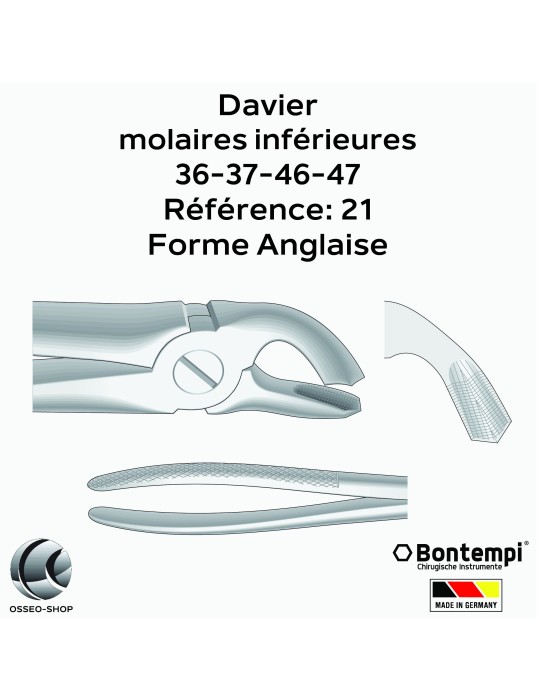 Daviers - Molaires inférieures - Bontempi