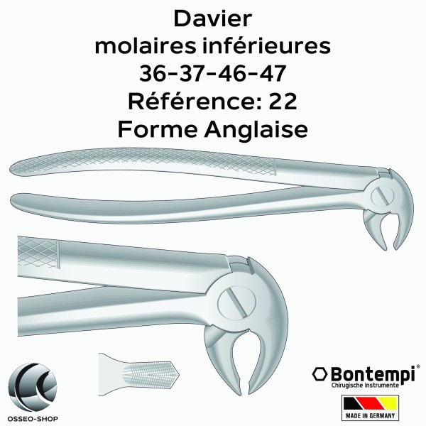 Daviers - Molaires inférieures - Bontempi
