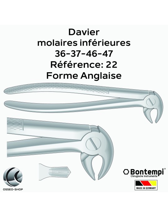 Daviers - Molaires inférieures - Bontempi