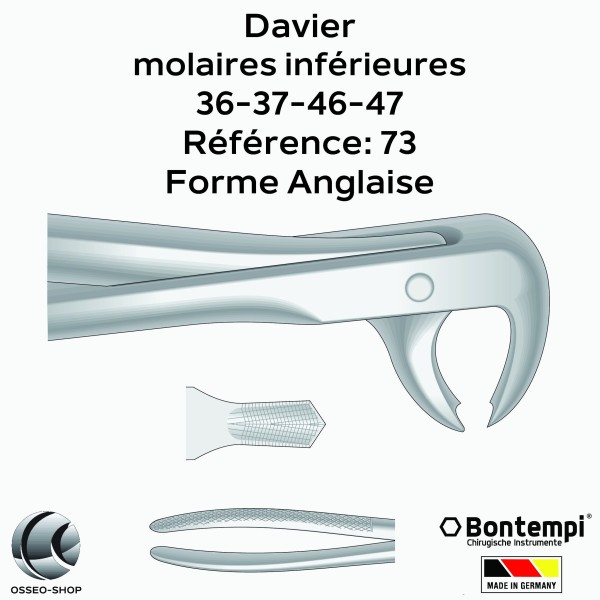 Daviers - Molaires inférieures - Bontempi