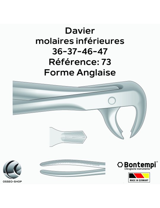 Daviers - Molaires inférieures - Bontempi