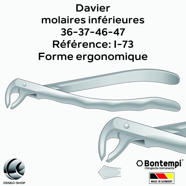 Daviers - Molaires inférieures - Bontempi