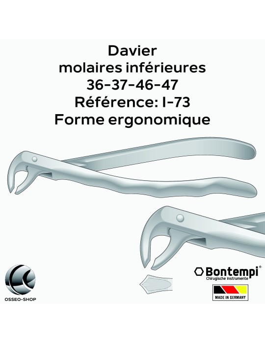Daviers - Molaires inférieures - Bontempi